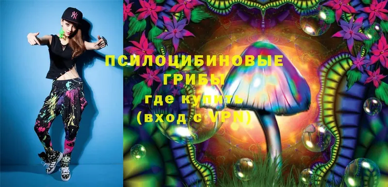 Галлюциногенные грибы Magic Shrooms  закладки  Мурино 